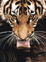 Raqamlar bo&#039;yicha rasm &quot;Yo&#039;lbars sug&#039;orish teshigida&quot;