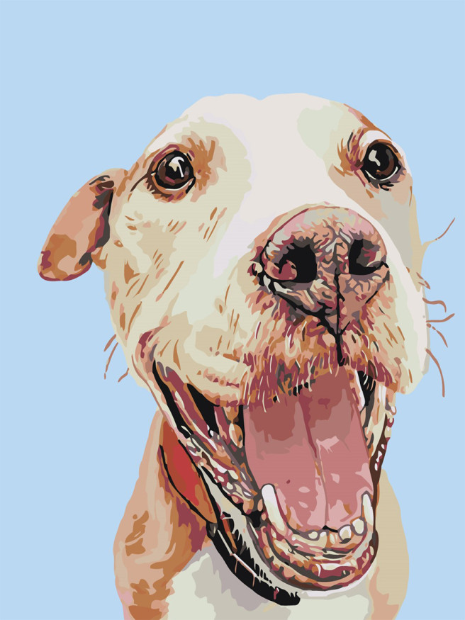 Raqamlar bo&amp;#039;yicha rasm &amp;quot;Baxtli it&amp;quot;