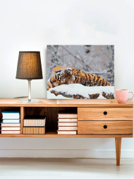 Raqamlar bo&#039;yicha rasm &quot;Yo&#039;lbars qorda&quot;