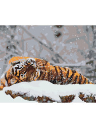 Raqamlar bo&#039;yicha rasm &quot;Yo&#039;lbars qorda&quot;