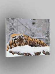 Raqamlar bo&#039;yicha rasm &quot;Yo&#039;lbars qorda&quot;