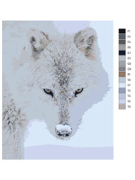 Картина по номерам "Белый волк"