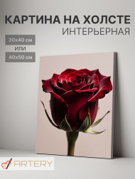 Постер на холсте &amp;quot;Бордовая роза крупным планом&amp;quot;