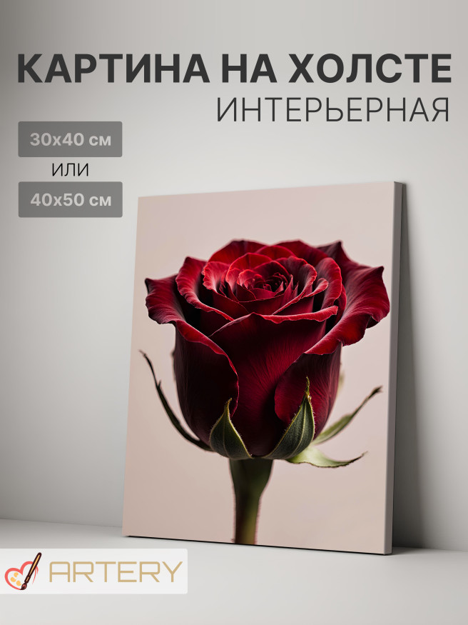 Постер на холсте &amp;quot;Бордовая роза крупным планом&amp;quot;