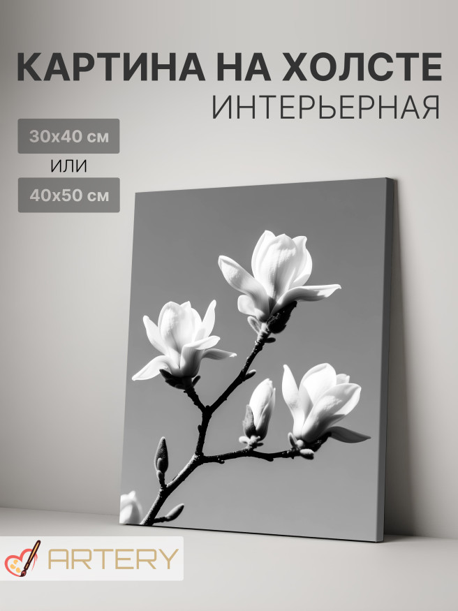 Постер на холсте &amp;quot;Белые цветы магнолии на ветке&amp;quot;