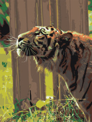 Raqamlar bo&#039;yicha rasm &quot;Yo&#039;lbars&quot;