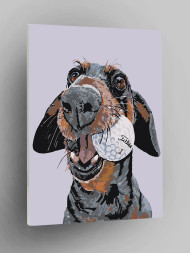 Raqamlar bo&#039;yicha rasm &quot;To&#039;p bilan it&quot;