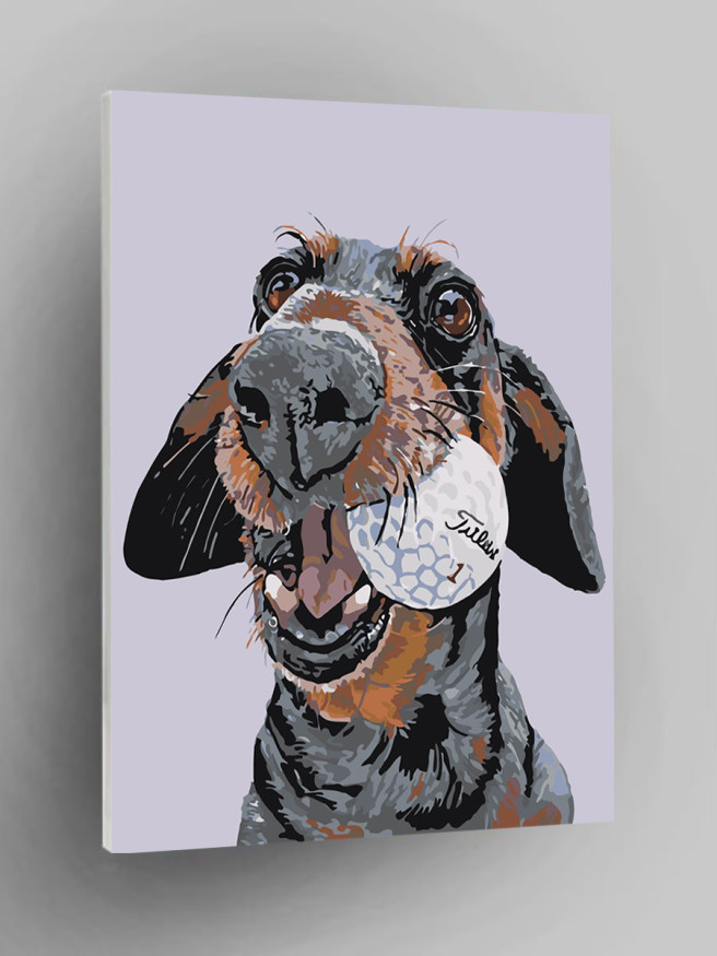 Raqamlar bo&amp;#039;yicha rasm &amp;quot;To&amp;#039;p bilan it&amp;quot;