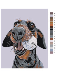 Raqamlar bo&#039;yicha rasm &quot;To&#039;p bilan it&quot;