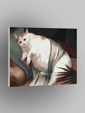 Porno parishioner va ruhoniy Ayollar hojatxonasida yashirin kamera porno video onlayn