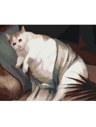 Raqamlar bo&#039;yicha rasm &quot;Qayg&#039;uli semiz mushuk mem&quot;