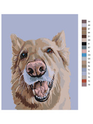 Raqamlar bo'yicha rasm "Mehribon it"