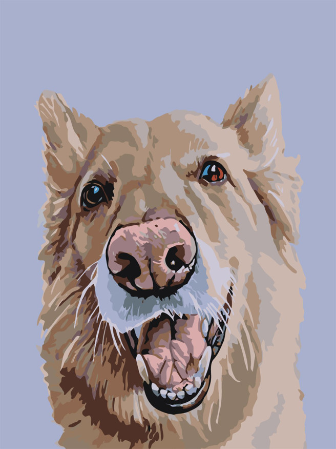 Картина по номерам &amp;quot;Добрая собака&amp;quot;