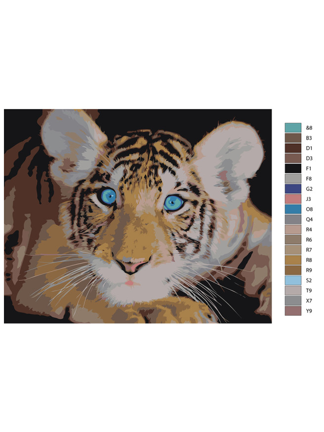 Raqamlar bo&amp;#039;yicha rasm &amp;quot;Yo&amp;#039;lbars bolasi&amp;quot;