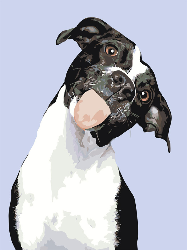 Raqamlar bo&amp;#039;yicha rasm &amp;quot;Quvnoq it&amp;quot;