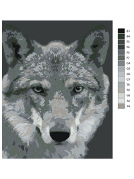 Картина по номерам "Волк"