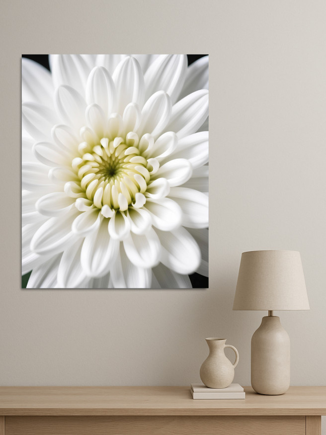 Постер на холсте &amp;quot;Белая хризантема крупным планом&amp;quot;