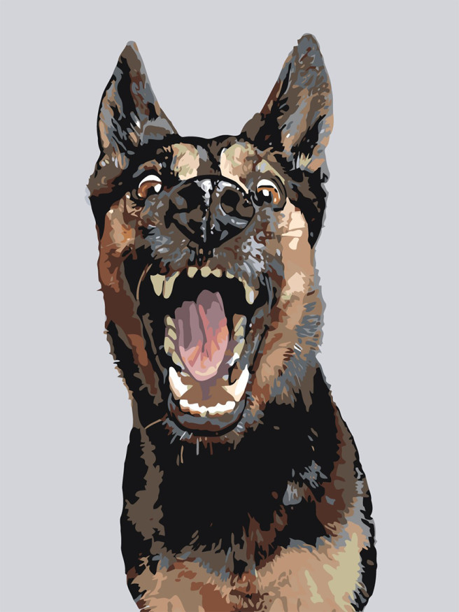 Raqamlar bo&amp;#039;yicha rasm &amp;quot;Tishli it&amp;quot;