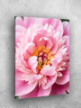 Постер на холсте &amp;quot;Розовый пион крупным планом&amp;quot;