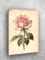 Постер на холсте &amp;quot;Винтажная розовая роза&amp;quot;