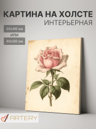 Постер на холсте &amp;quot;Винтажная розовая роза&amp;quot;