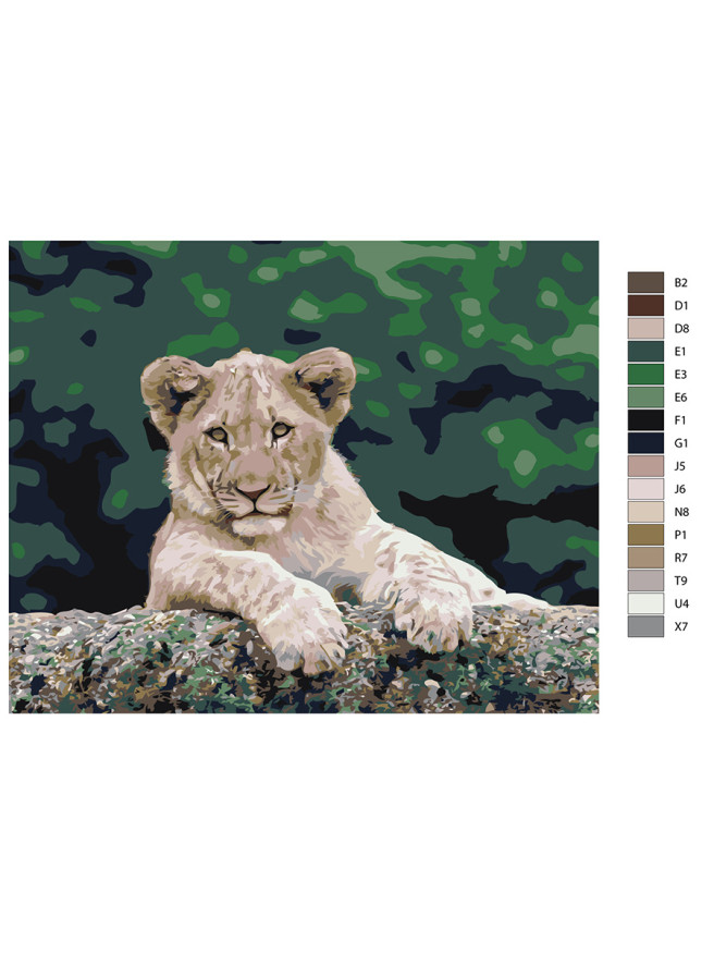 Raqamlar bo&amp;#039;yicha rasm &amp;quot;Arslon bolasi&amp;quot;