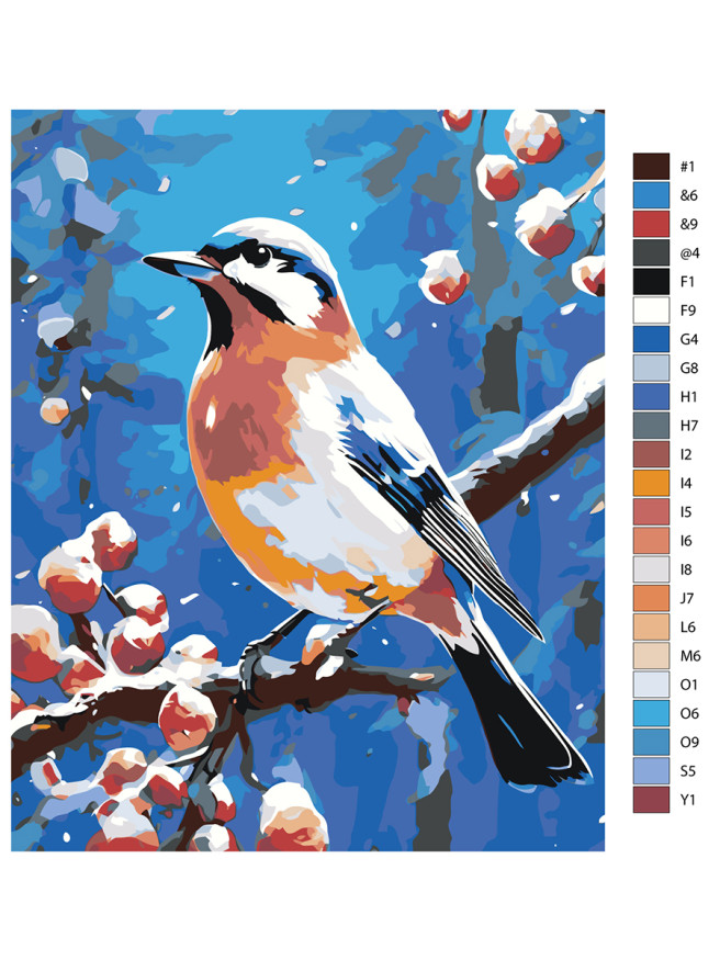 Raqamlar bo&amp;#039;yicha rasm &amp;quot;Chiroyli qush&amp;quot;