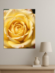 Постер на холсте &amp;quot;Жёлтая роза крупным планом&amp;quot;