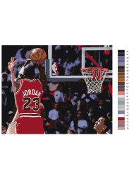 Картина по номерам &amp;quot;Баскетболист Майкл Джордан&amp;quot;