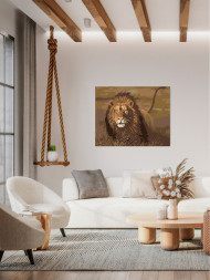 Raqamlar bo'yicha rasm "Tabiatdagi sher"