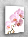 Постер на холсте &amp;quot;Розовые орхидеи на ветке&amp;quot;