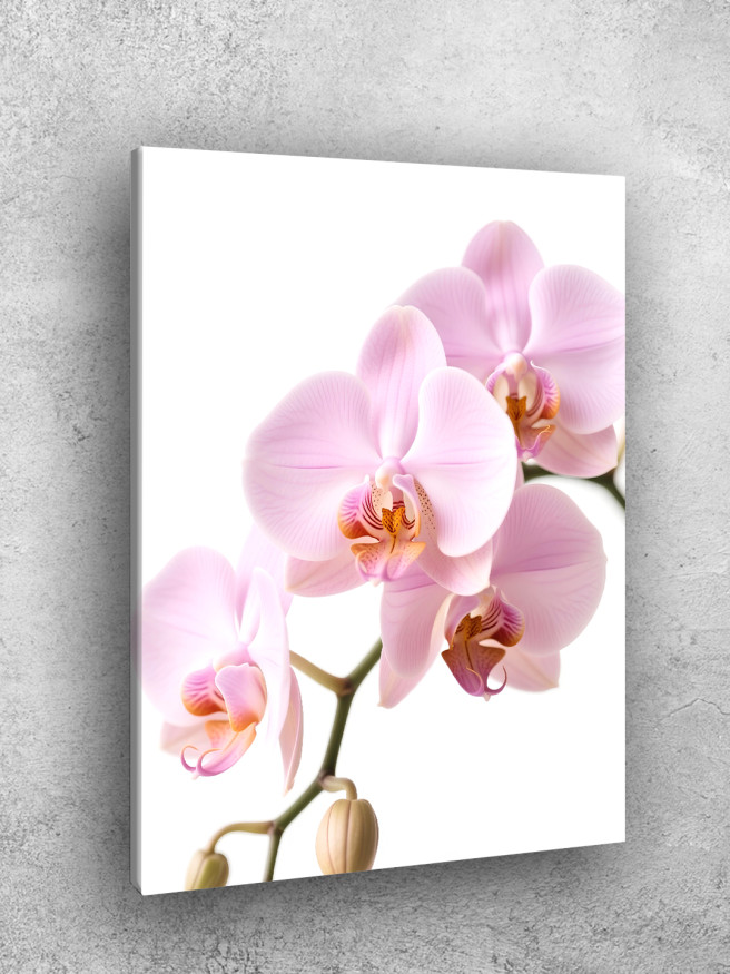 Постер на холсте &amp;quot;Розовые орхидеи на ветке&amp;quot;