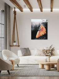 Raqamlar bo'yicha rasm "Qanotli qiz"