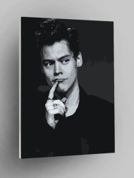 Картина по номерам &amp;quot;Гарри Стайлс&amp;quot;