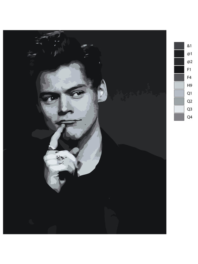 Картина по номерам &amp;quot;Гарри Стайлс&amp;quot;