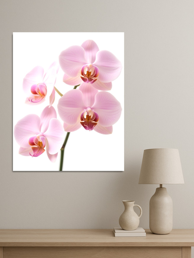 Постер на холсте &amp;quot;Орхидеи нежно-розового оттенка&amp;quot;