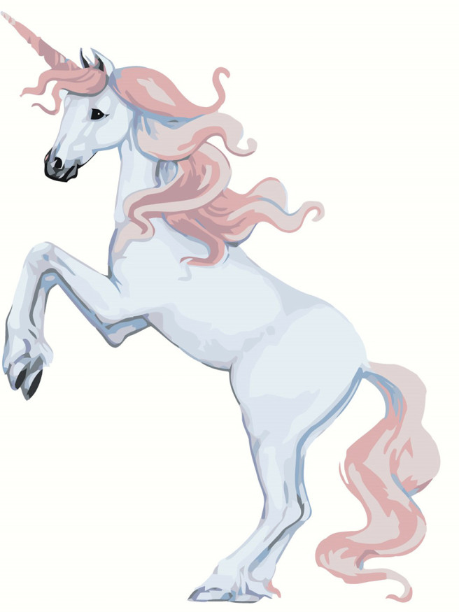 Raqamlar bo&amp;#039;yicha rasm &amp;quot;Pushti yeleli pony&amp;quot;