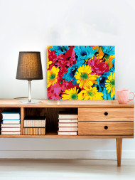 Картина по номерам &amp;quot;Разноцветные ромашки&amp;quot;