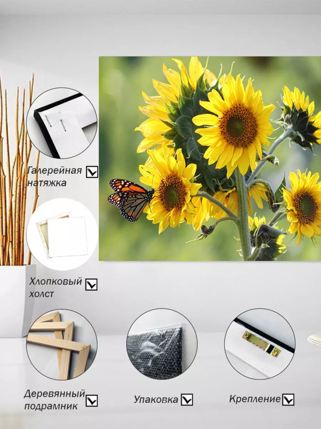 Holstga bosilgan poster &amp;quot;Quyoshgullar va monarh kapalagi&amp;quot;