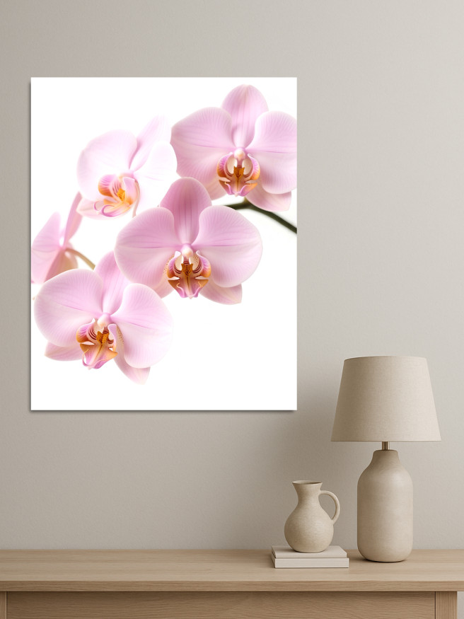 Постер на холсте &amp;quot;Светлые розовые орхидеи&amp;quot;