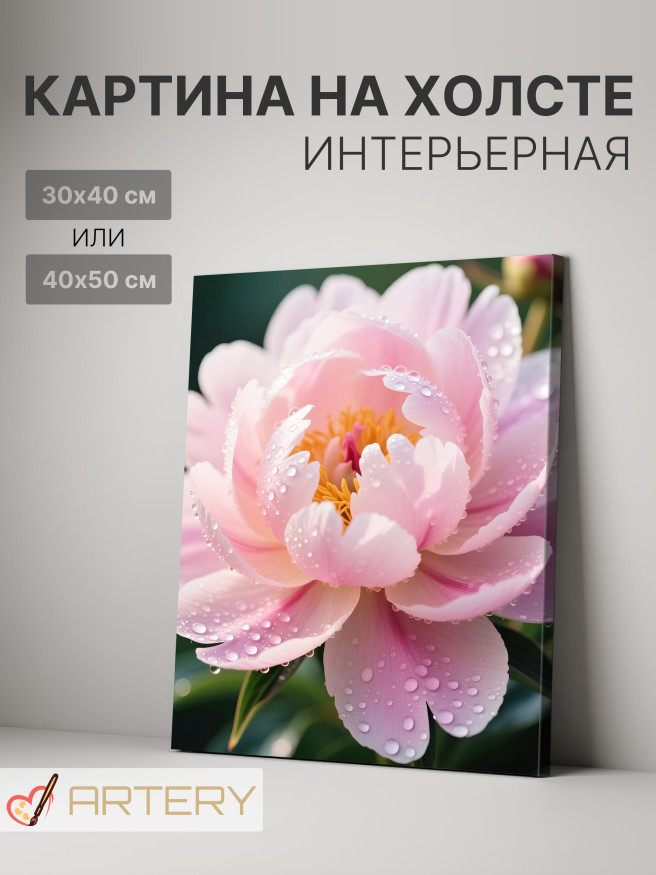 Постер на холсте &amp;quot;Розовый пион с каплями росы&amp;quot;