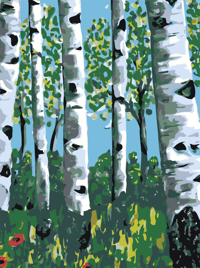 Raqamlar bo&amp;#039;yicha rasm &amp;quot; Qarag&amp;#039;aylar&amp;quot;