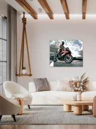 Картина по номерам &amp;quot;Мотоциклист&amp;quot;