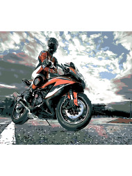Картина по номерам &amp;quot;Мотоциклист&amp;quot;