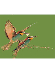 Raqamlar bo'yicha rasm "Ikki qush"