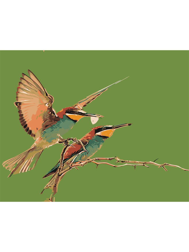 Raqamlar bo&amp;#039;yicha rasm &amp;quot;Ikki qush&amp;quot;