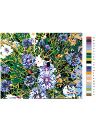 Картина по номерам &amp;quot;Дикие цветы&amp;quot;