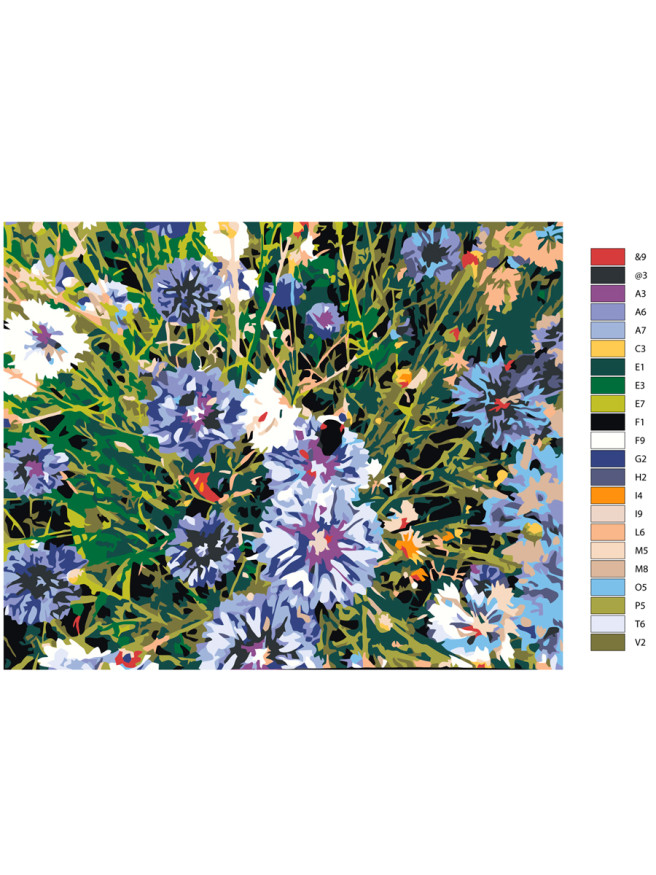 Картина по номерам &amp;quot;Дикие цветы&amp;quot;