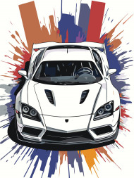 Картина по номерам &amp;quot;Машина для гонок&amp;quot;