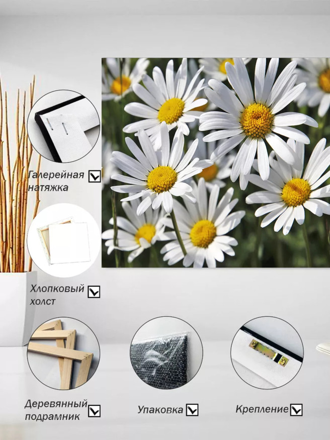Постер на холсте &amp;quot;Белые ромашки крупным планом&amp;quot;